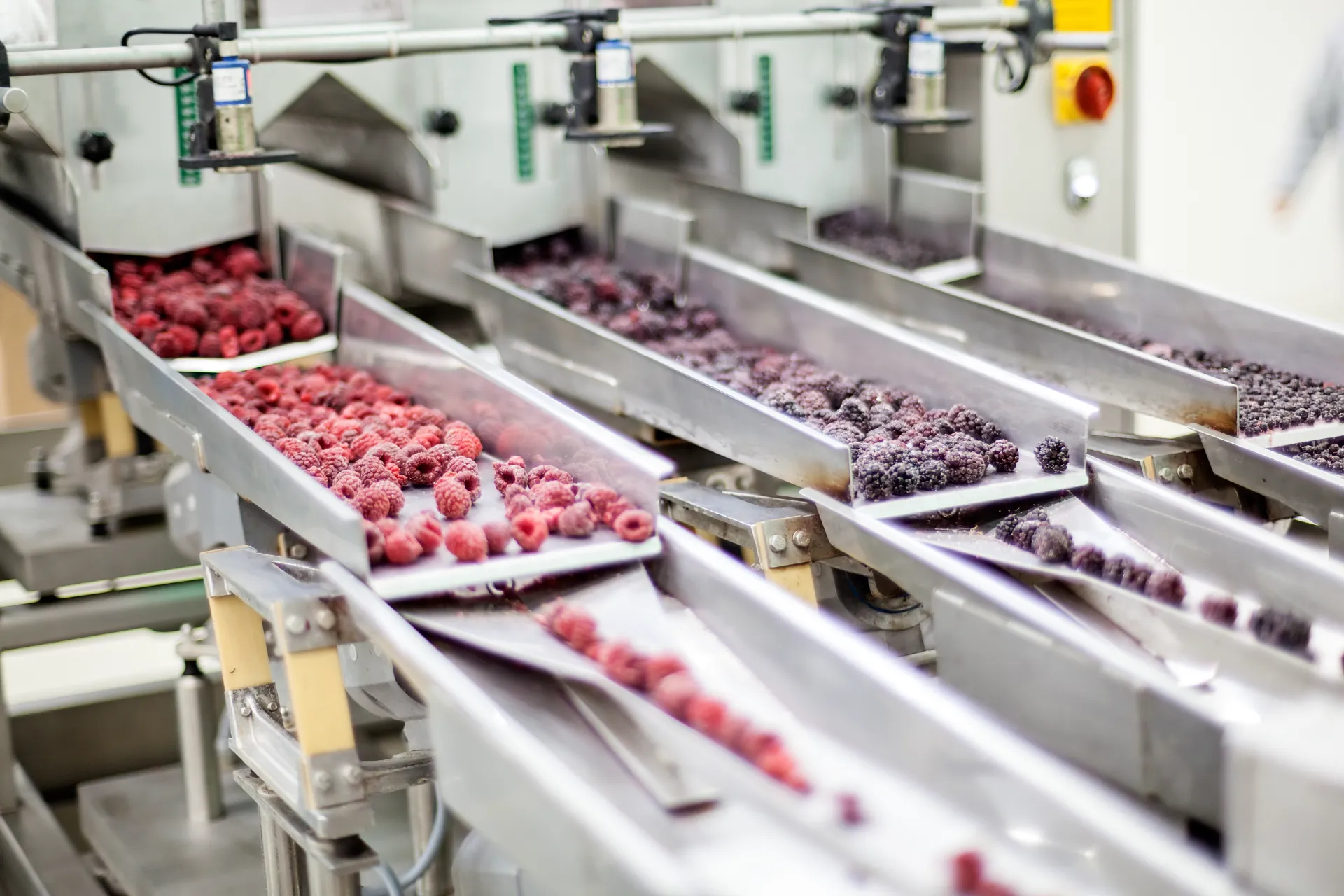 Food Processing Industry